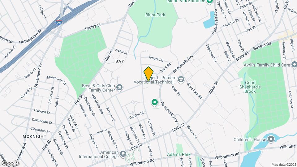 197 Acorn St Mapa y Detalles de la Ubicación