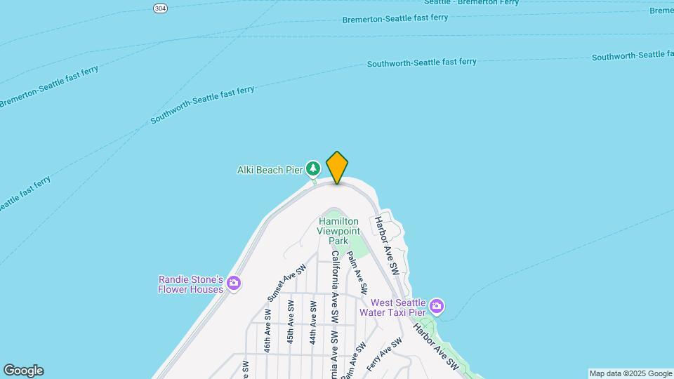 1118 Alki Ave SW Map and Location Details