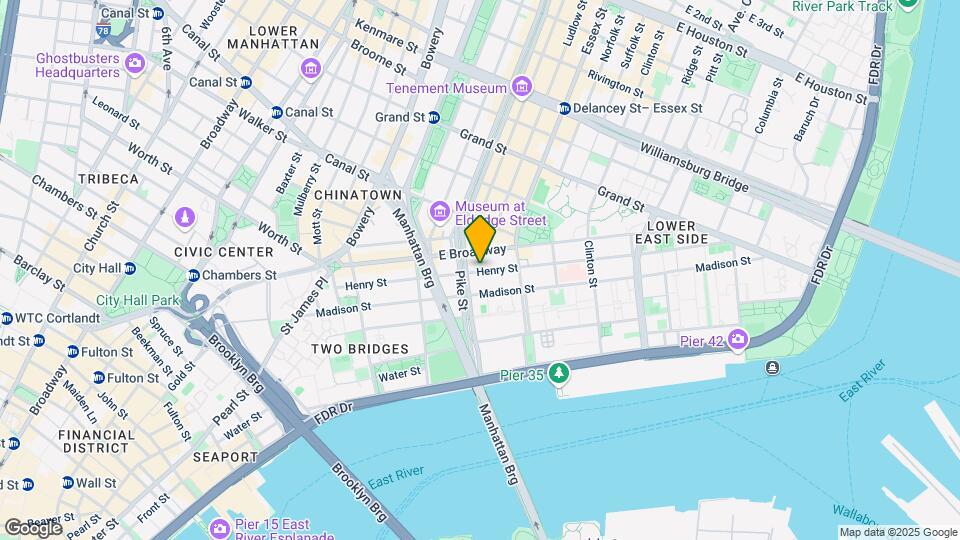 113 Henry St Mapa y Detalles de la Ubicación
