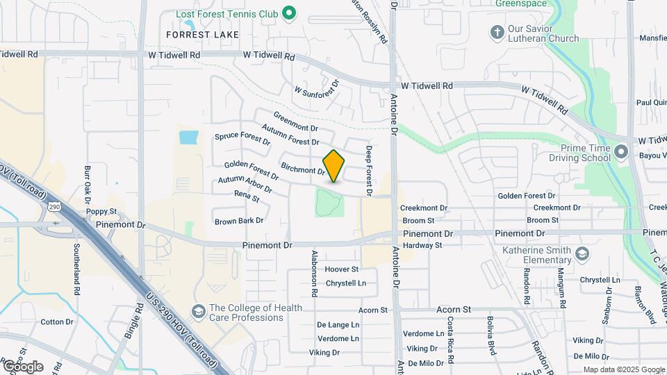 5906 Golden Forest Dr Map and Location Details