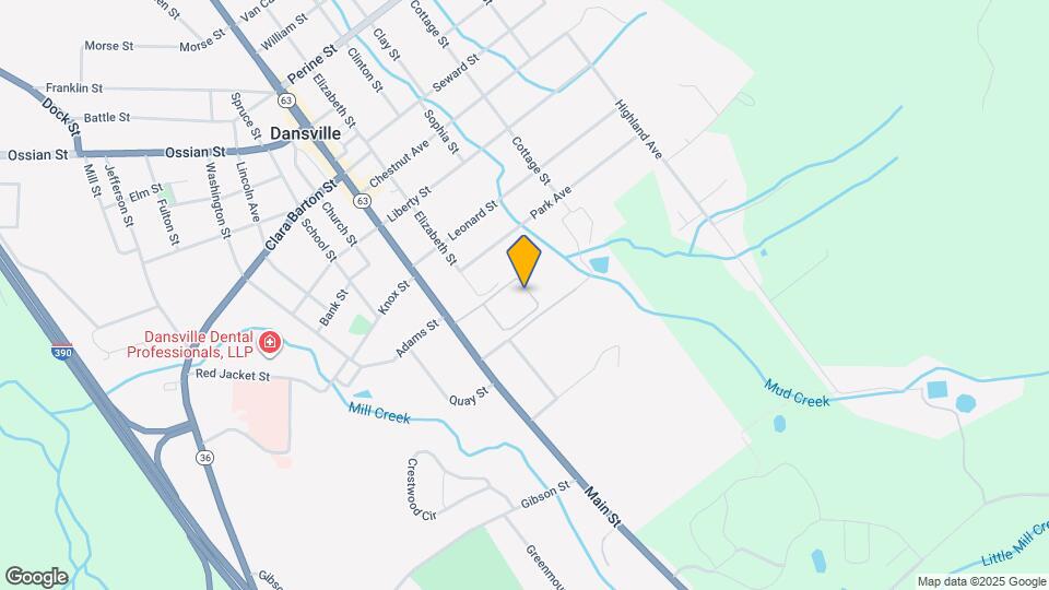 Springcreek Apartments and Nearby Dansville Apartments For Rent