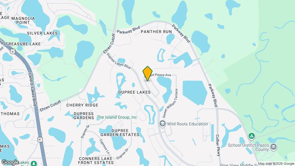 6046 Desert Peace Ave Mapa y Detalles de la Ubicación