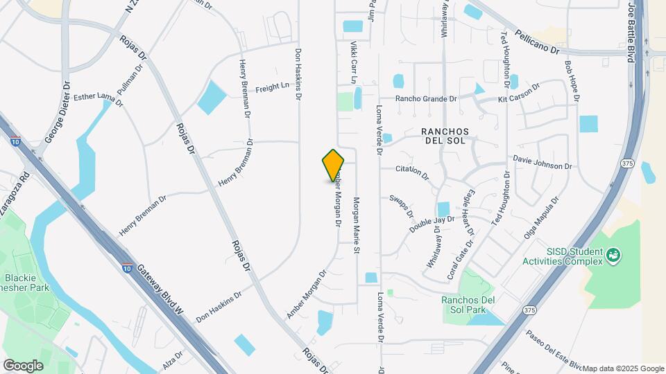 1317 Amber Morgan Dr Map and Location Details