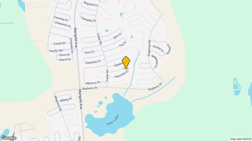 246 Hyacinth Ct Mapa y Detalles de la Ubicación