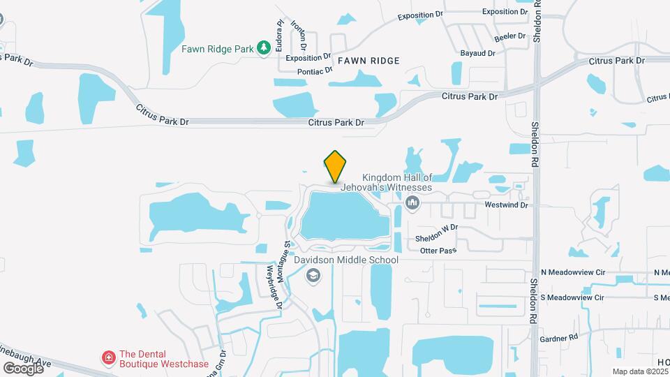 9162 Lake Chase Island Way Mapa y Detalles de la Ubicación