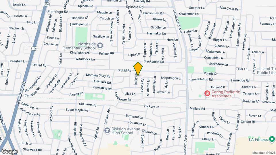19 Daisy Ln Mapa y Detalles de la Ubicación