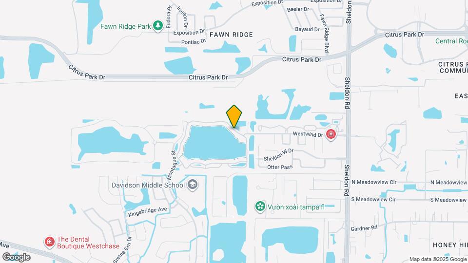 9028 Lake Chase Island Way Map and Location Details