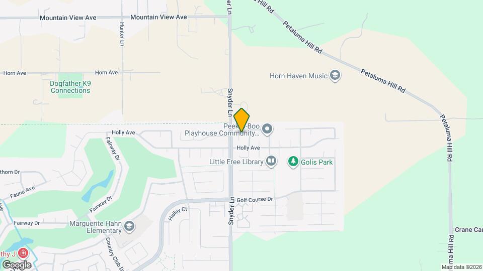 1315 Gillpepper Ln Mapa y Detalles de la Ubicación