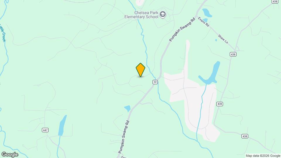 1313 Chelsea Pk Trl Mapa y Detalles de la Ubicación