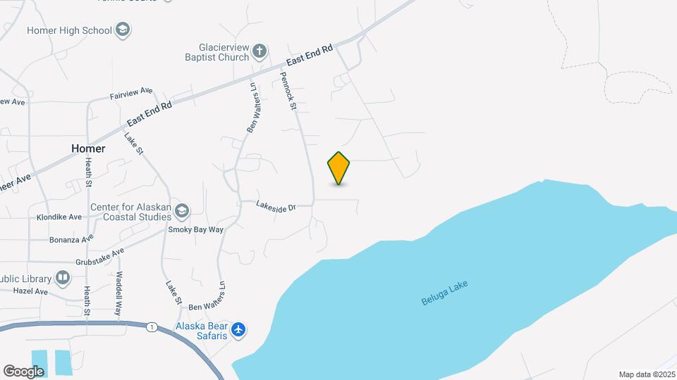 1132 Virginia Lynn Way Mapa y Detalles de la Ubicación