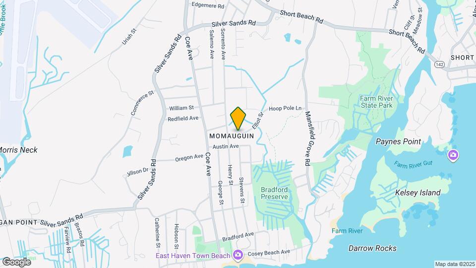 55 Elliot St, Unit 3rd Mapa y Detalles de la Ubicación