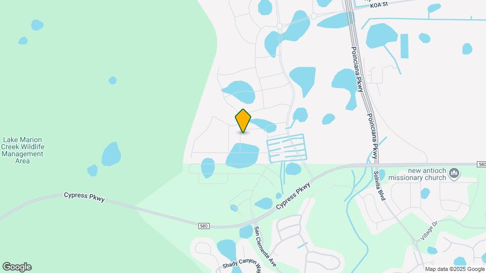 4751 Guinep Ln Map and Location Details