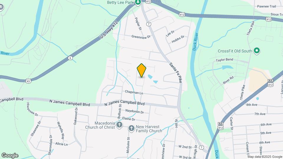 209 Nowlin Dr Map and Location Details