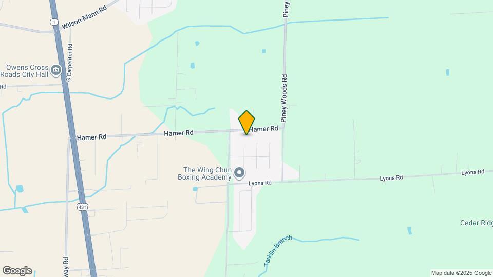 101 Rein Dance Ln Mapa y Detalles de la Ubicación