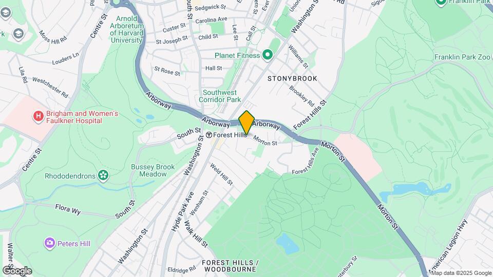 41 Morton St Mapa y Detalles de la Ubicación