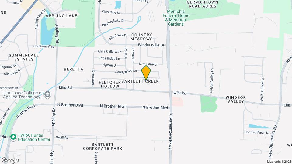 8038 Allbright Cove Mapa y Detalles de la Ubicación