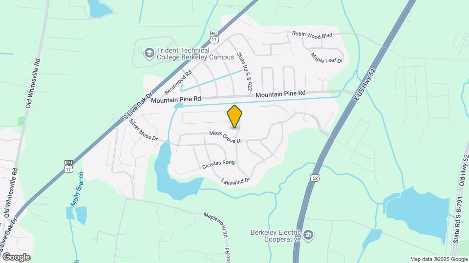 241 Emerald Isle Dr Mapa y Detalles de la Ubicación