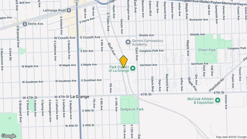 319 Bluff Ave Mapa y Detalles de la Ubicación