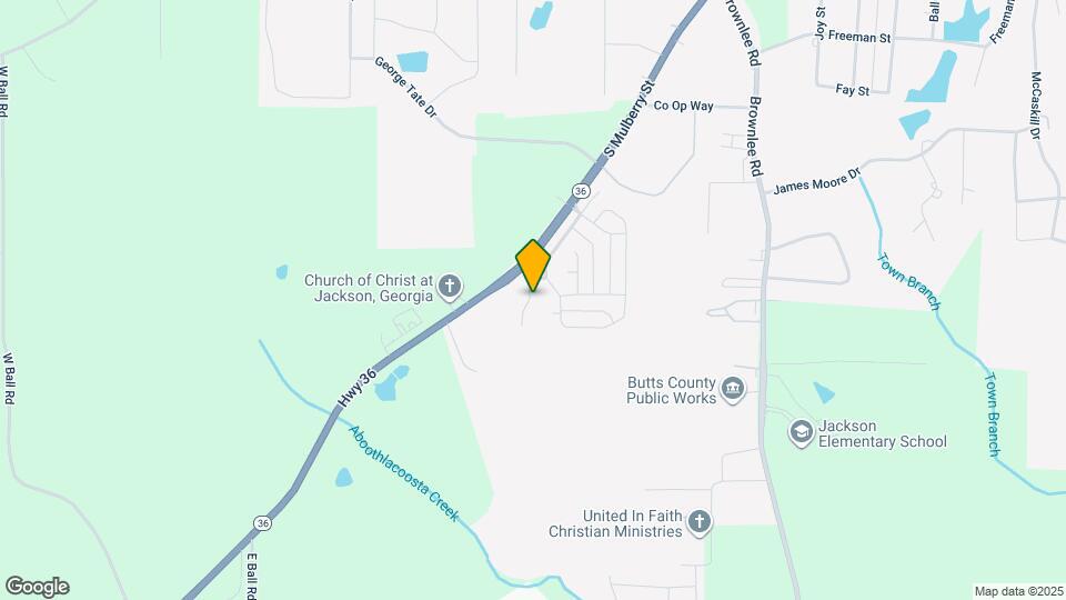 243 Jasmine Dr Map and Location Details