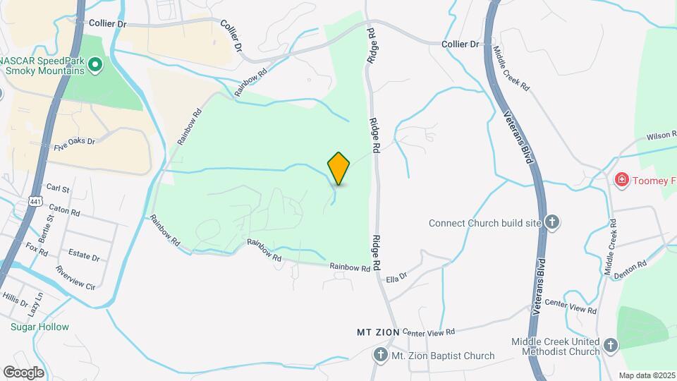 363 Carolines Wy Map and Location Details