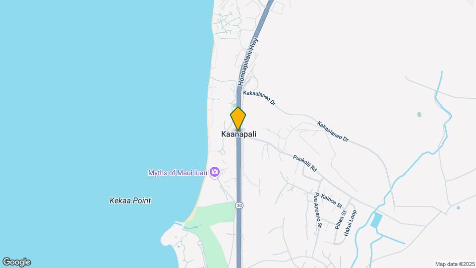 W8W56C Kaanapali Map and Location Details