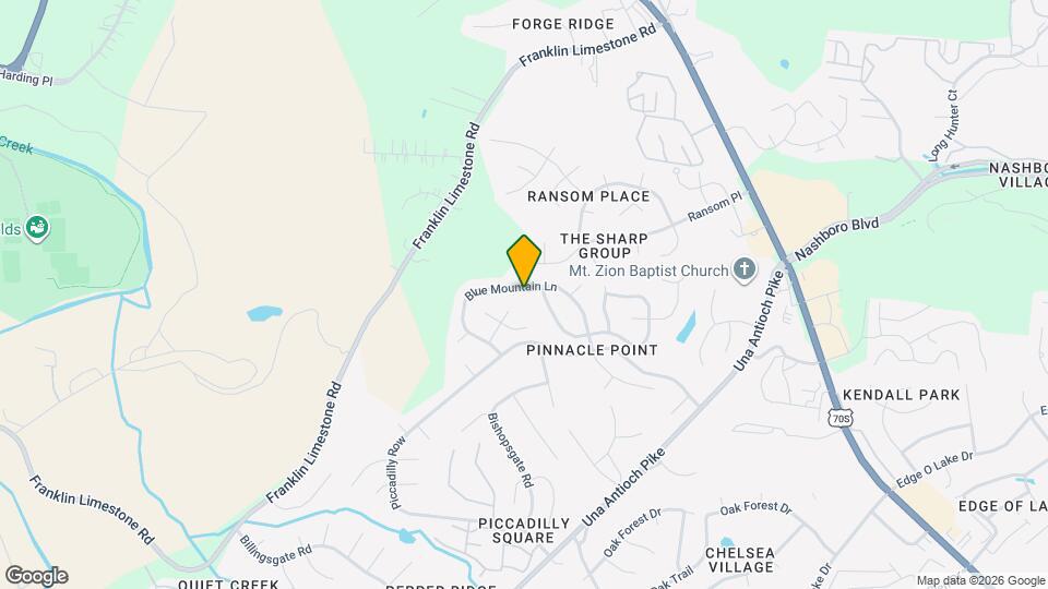 1009 Blue Mountain Ln Map and Location Details