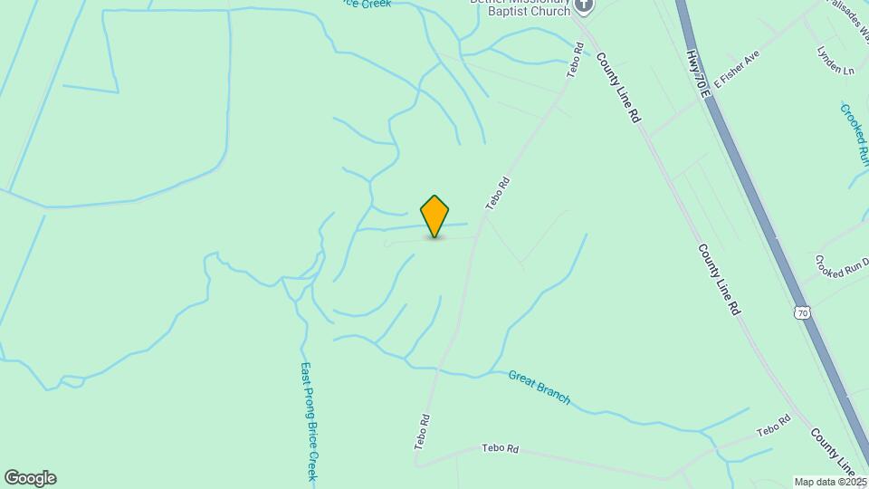 220 Tree Ln Map and Location Details