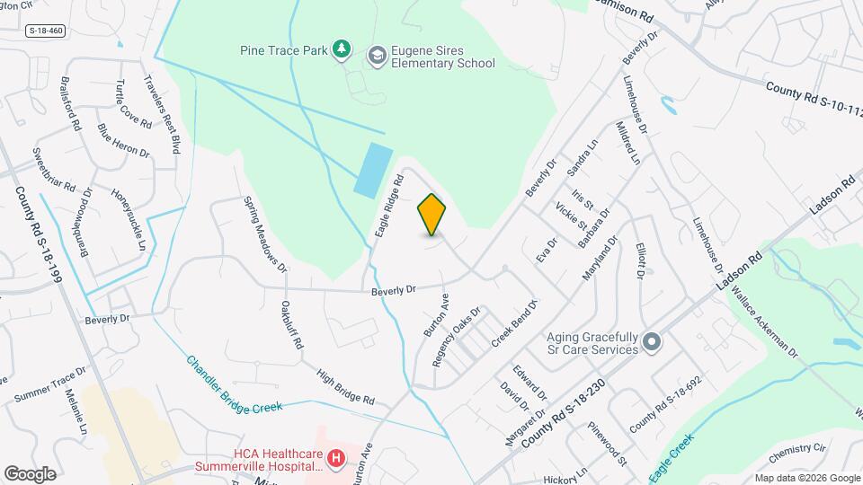 102 Bill Park Dr Mapa y Detalles de la Ubicación