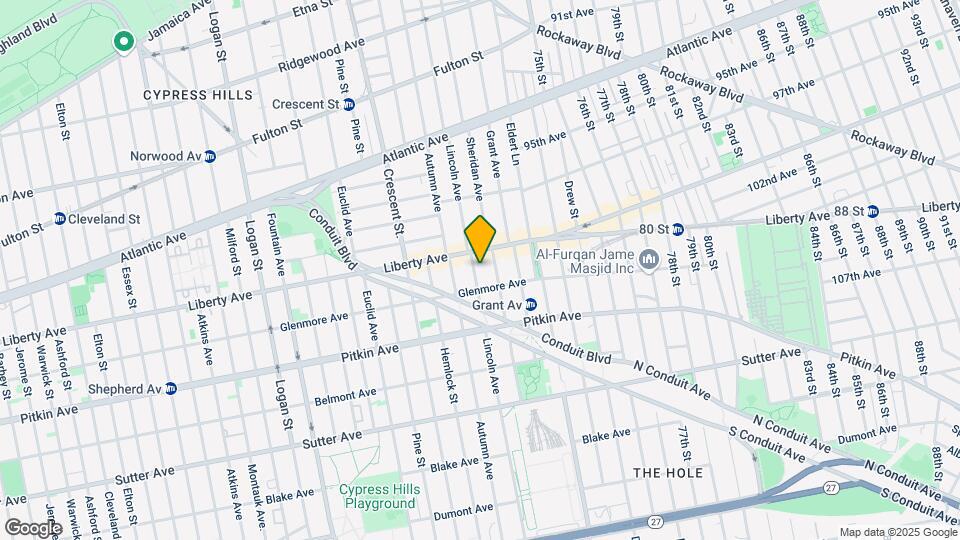 491 Lincoln Ave Mapa y Detalles de la Ubicación