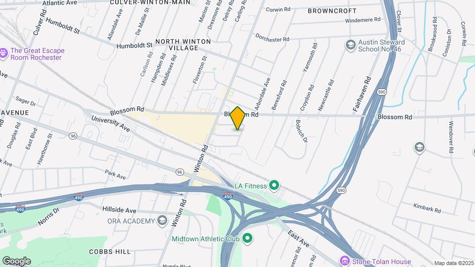 43 Shirley St Map and Location Details