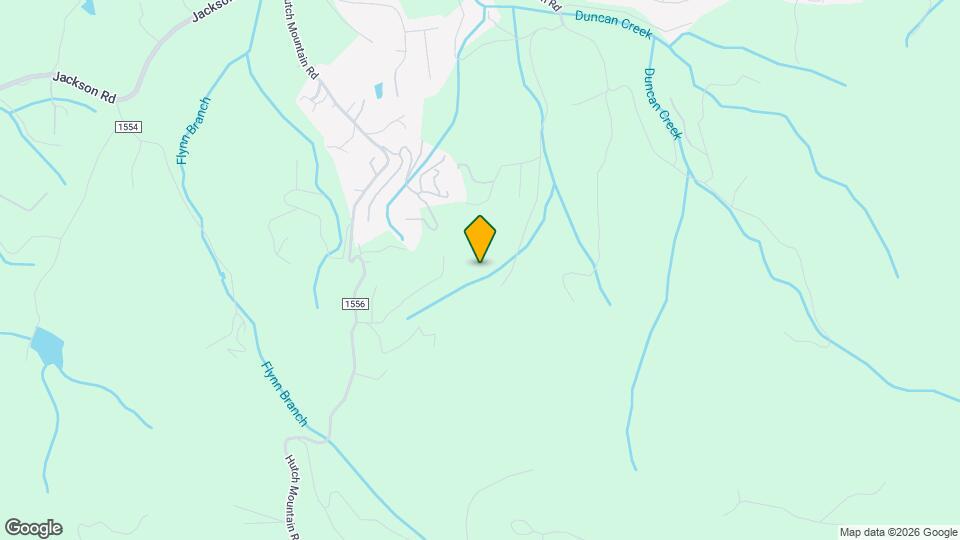 170 Mountain Laurel Ln Map and Location Details