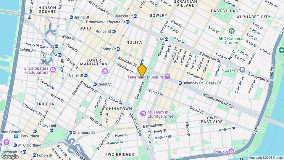 123 Chrystie St Mapa y Detalles de la Ubicación