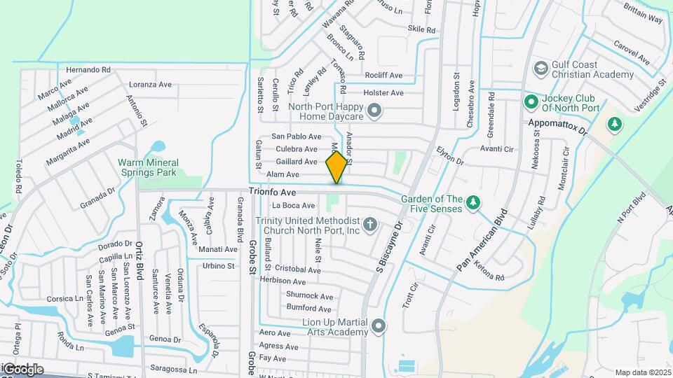 8266 Trionfo Ave Mapa y Detalles de la Ubicación