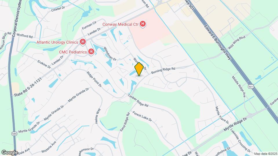 595 Willow Green Dr Map and Location Details