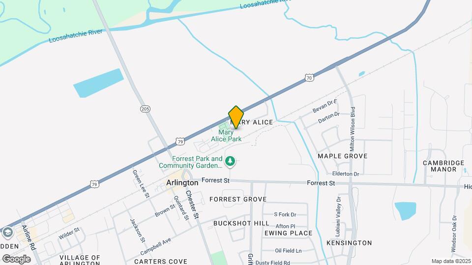 12159 Mary Alice Dr Map and Location Details