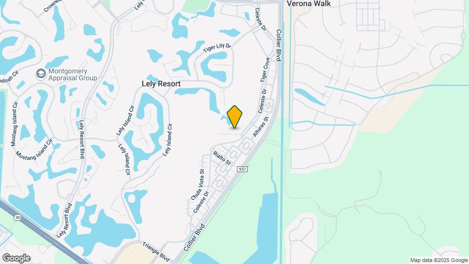 8519 Chase Preserve Dr Mapa y Detalles de la Ubicación