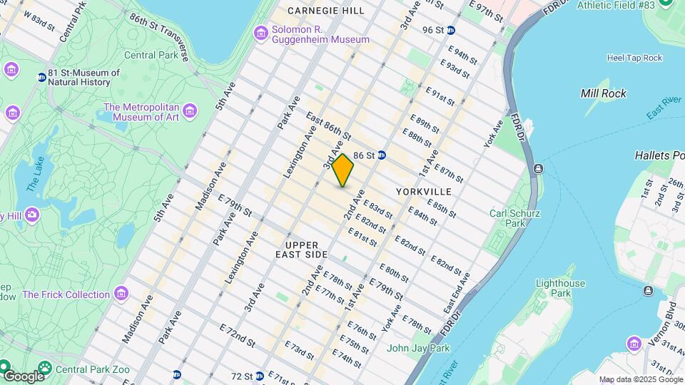 234 E 83rd St Mapa y Detalles de la Ubicación