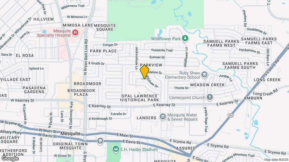 738 Opal Ln Mapa y Detalles de la Ubicación
