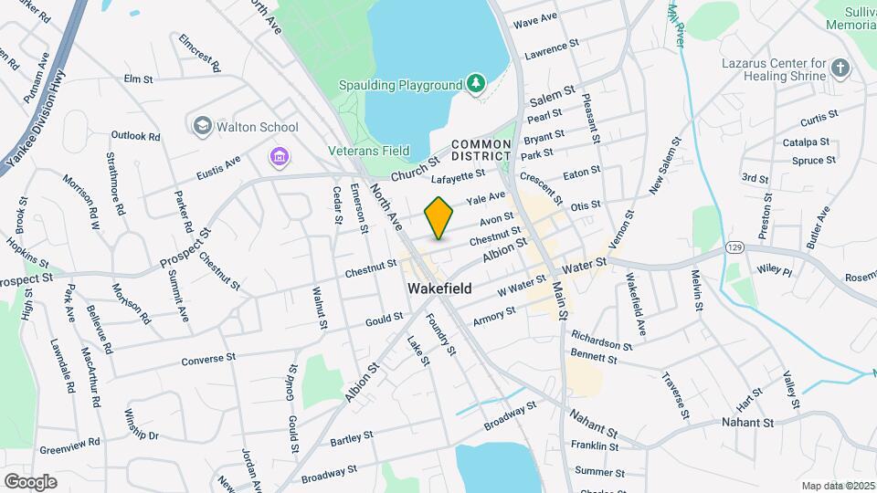 29 Chestnut St Mapa y Detalles de la Ubicación