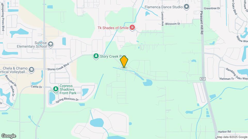 4223 Little Owl Ln Map and Location Details