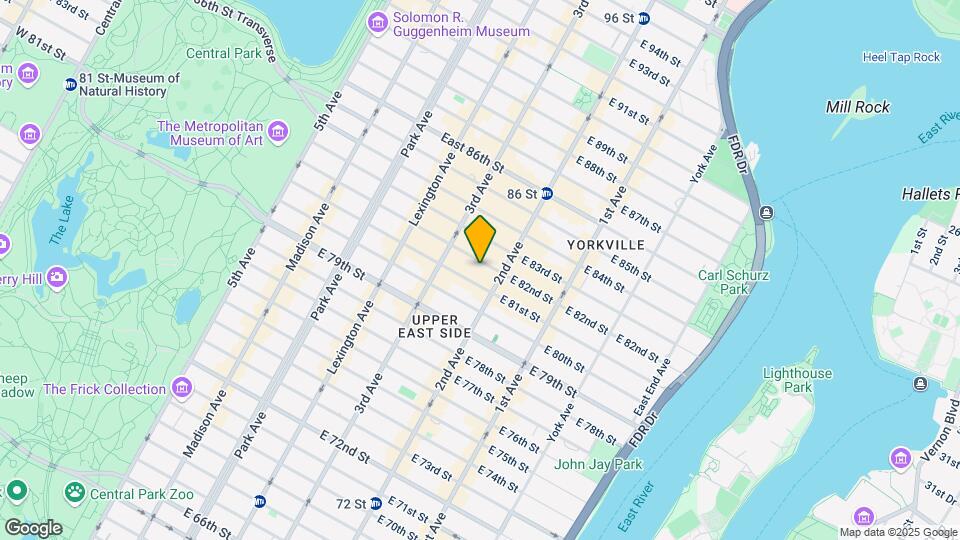 234 E 82nd St Map and Location Details