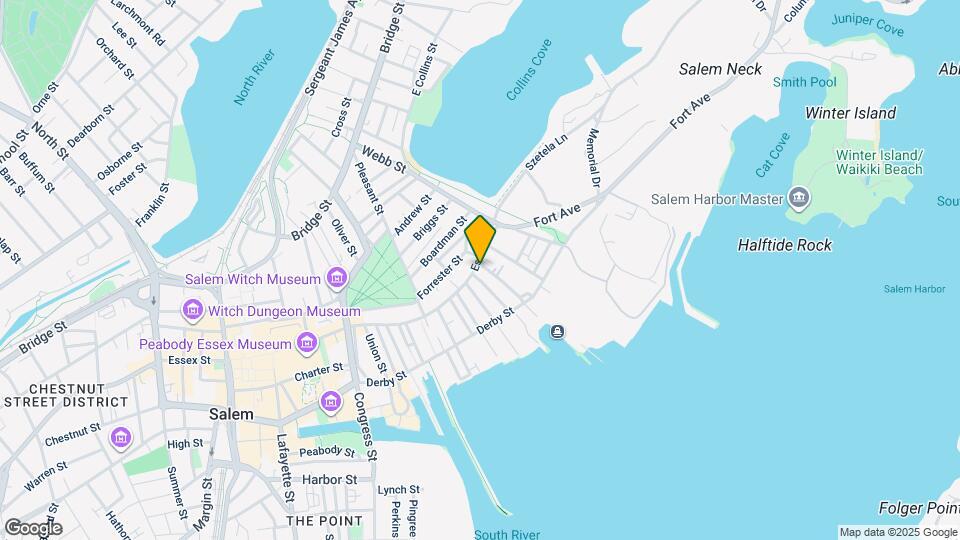 25 Essex St, Unit 25 Essex St Unit #1 Map and Location Details