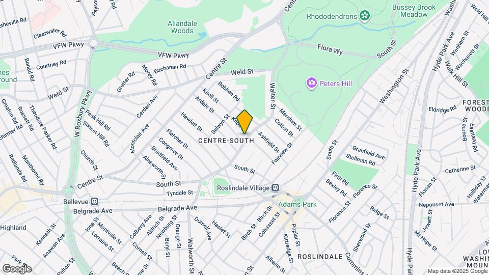 54 Walter St Map and Location Details