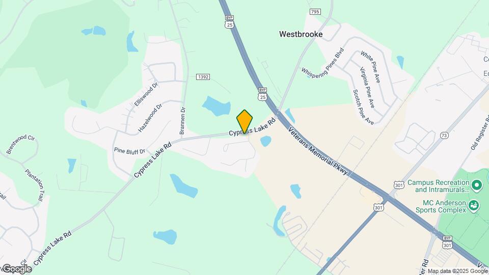 101 Lindsay Ct Map and Location Details