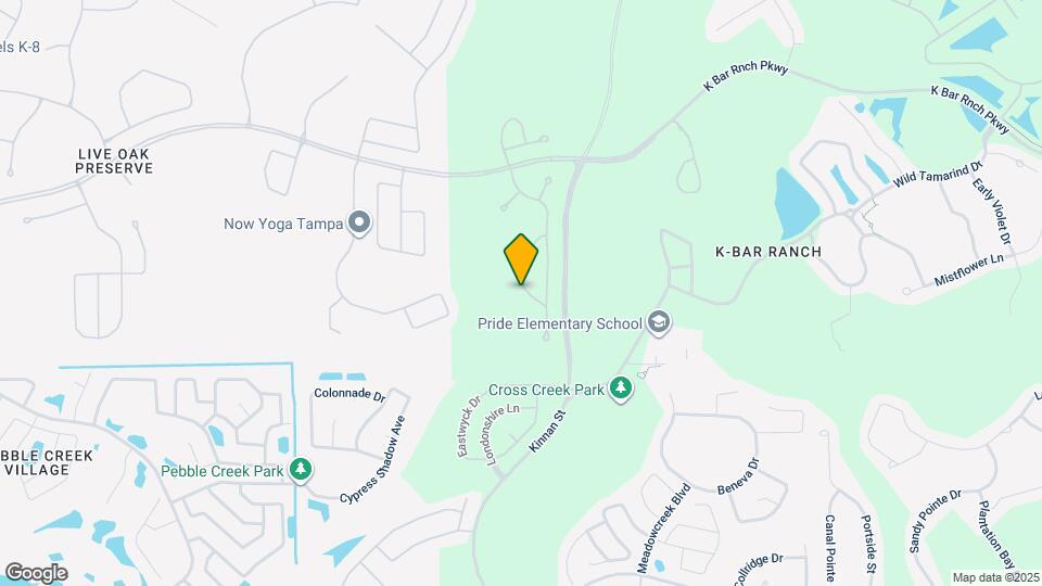 20014 Date Palm Way Map and Location Details