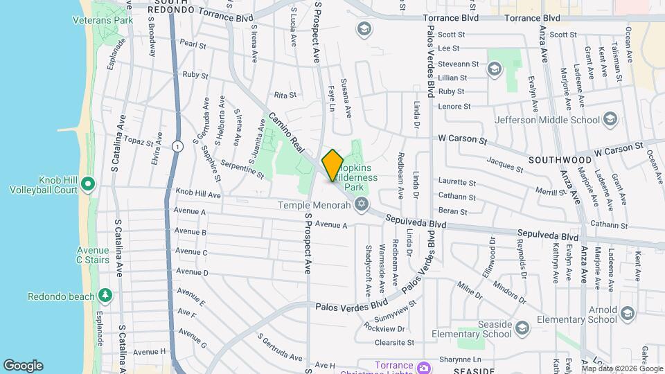 1019 Camino Real Map and Location Details