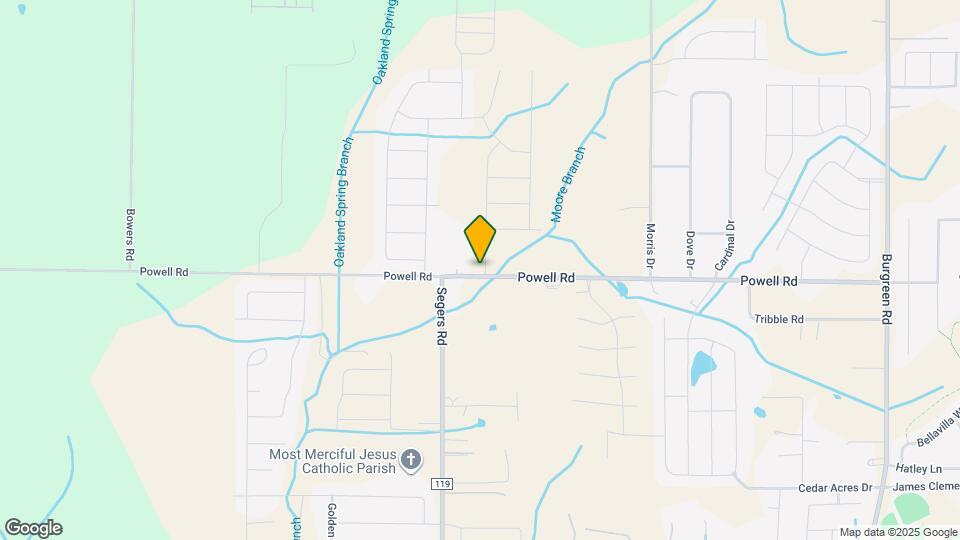 11017 Wayland Rdg Dr Map and Location Details