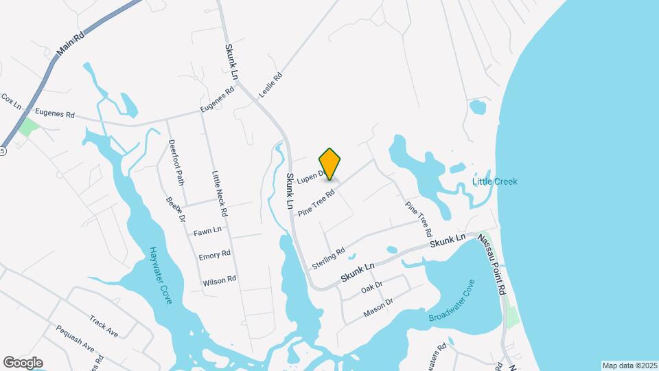 795 Pine Tree Rd Map and Location Details