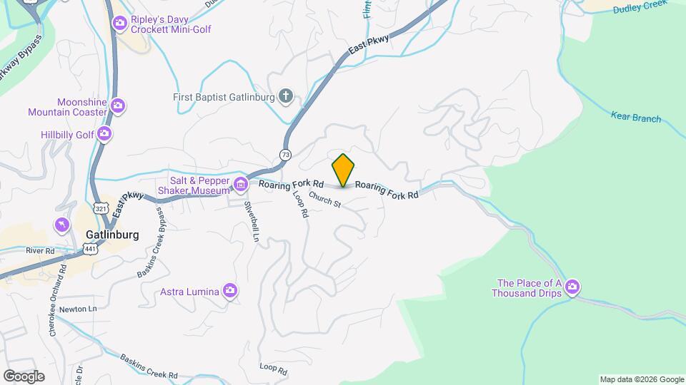 260 Roaring Fork Rd Map and Location Details