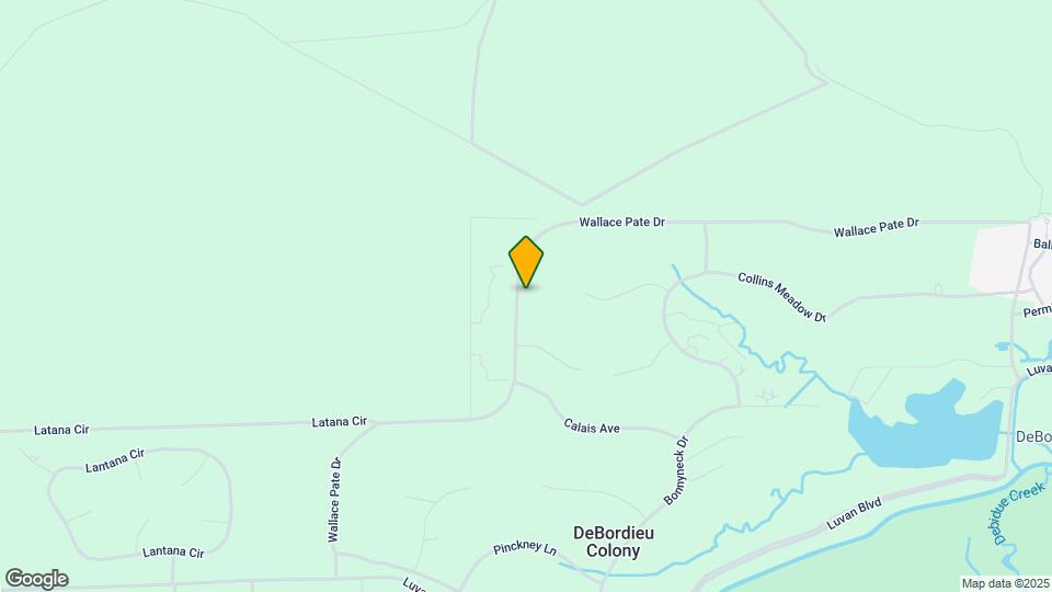 1332 Wallace Pate Dr Map and Location Details